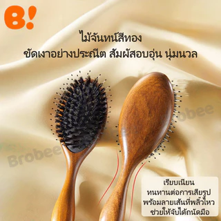 แปรงหวีผมขนหมูป่าธรรมชาติ ด้ามไม้จันทน์สีทอง ช่วยให้ผมเรียบลื่น ลดไฟฟ้าสถิต และนวดหนังศีรษะ