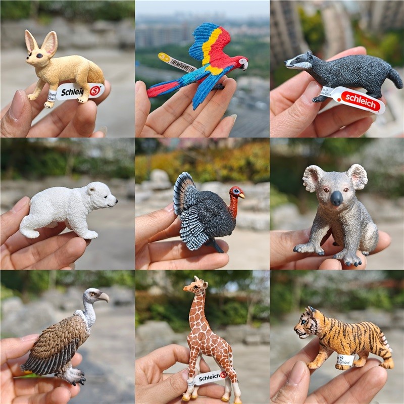 เยอรมัน schleich จําลองสัตว์แรคคูนน้อย Toucan Fox Koala เต่าลิงเด็กยอดนิยมของเล่นวิทยาศาสตร์