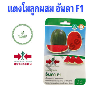 เมล็ดแตงโม อันดา F1 ศรแดง ซองแข็ง 40 เมล็ด ผักสวนครัว