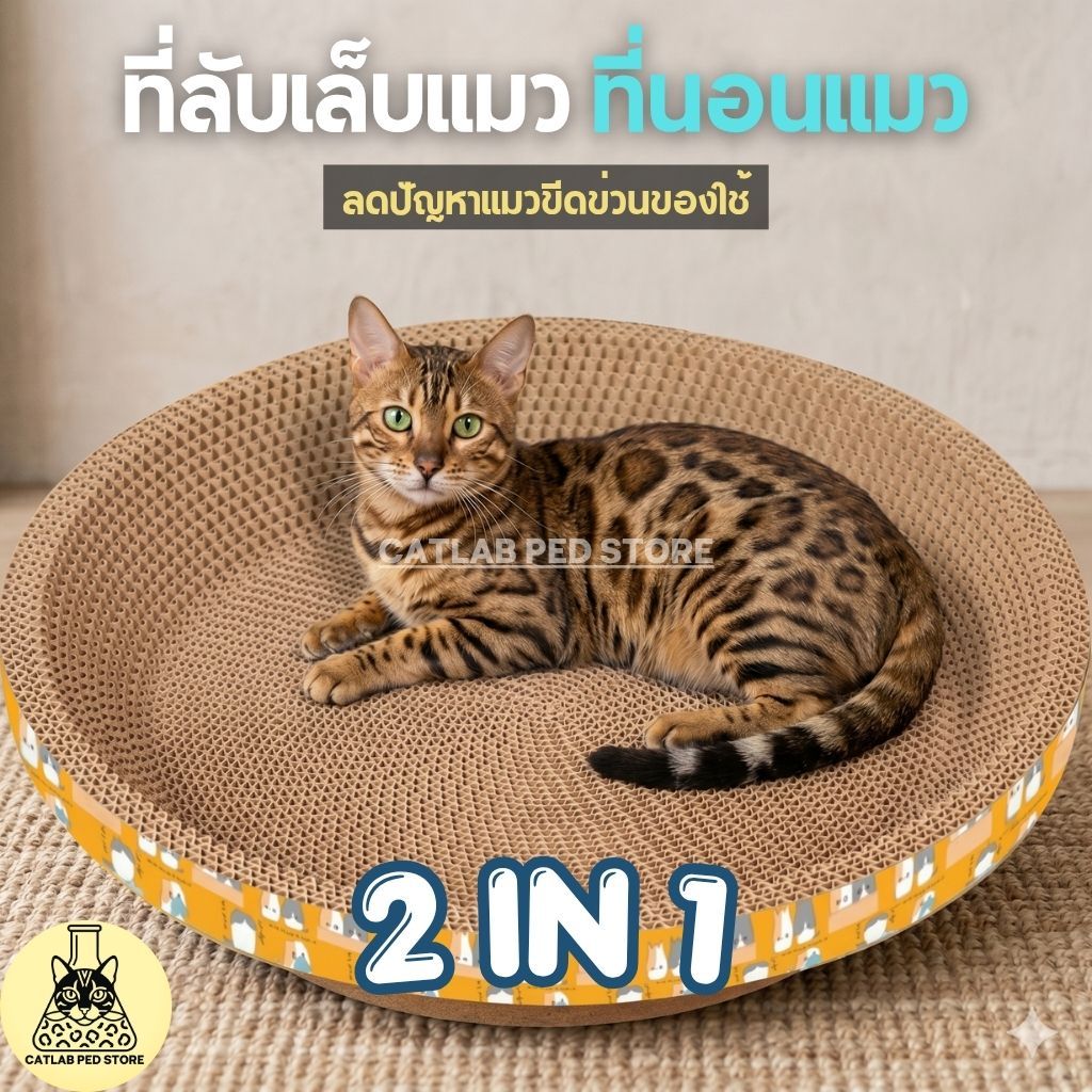 ที่ลับเล็บแมว รูปอ่างแมว ที่ฝนเล็บแมว ของเล่นแมว ที่นอนแมว 2in1 บ้านแมวกระดาษลูกฟูก สำหรับแมวทุกสายพันธุ์