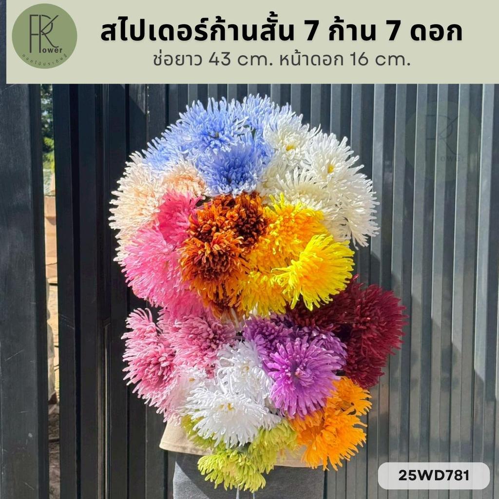 สไปเดอร์ 7 ก้าน 7 ดอก ช่อยาว 43 cm. หน้าดอก 16 cm.