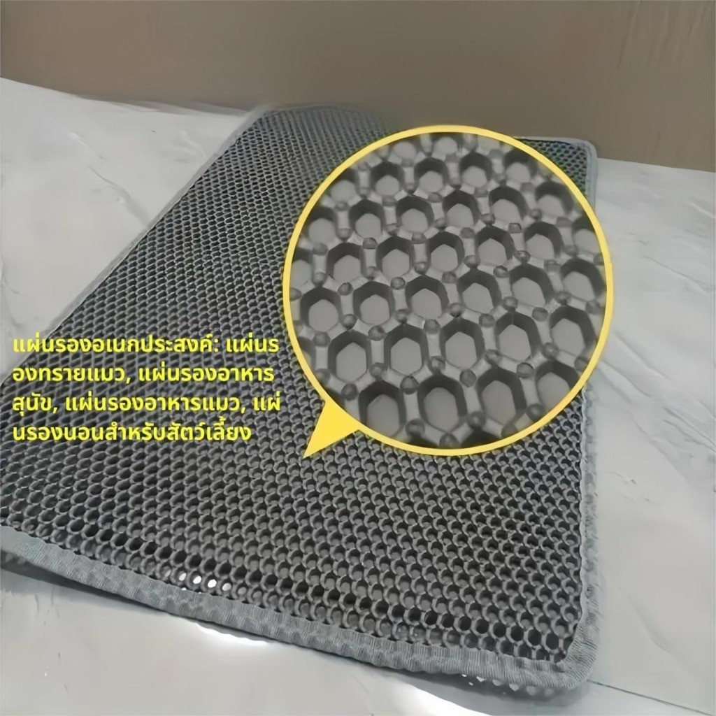 รูปภาพ 6