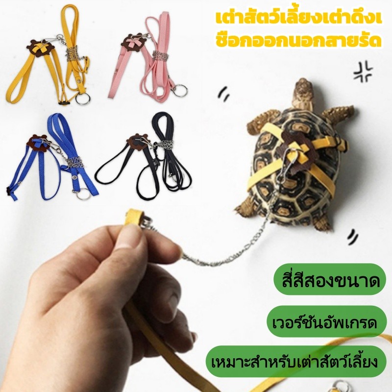 [เวอร์ชันอัพเกรด]สัตว์เลี้ยงเต่าเชือกลากออกเข็มขัดฉุดการฝึกอบรมสัตว์เลี้ยงกลางแจ้งจูงการฝึกอบรมจูง