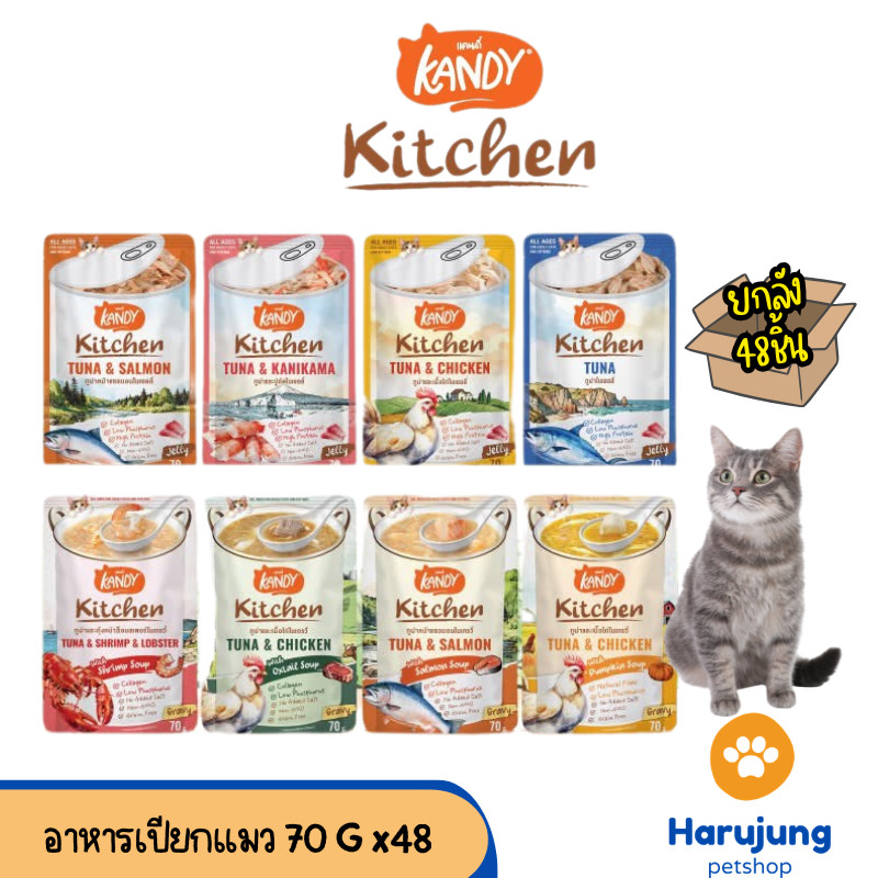 [ยกลัง 48 ซอง] Kandy Kitchen แคนดี้ คิตเช่น อาหารเปียกแมว ไม่ใส่เกลือ ผลิตจากปลาเนื้อขาว ขนาด 70 กรัม