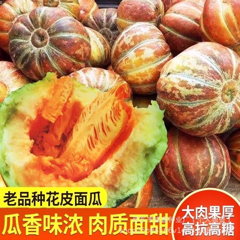 *现货*黄皮面瓜种子香瓜种子甜瓜种子南瓜种籽原装四季蔬菜种子大全批发Yellow-skinned melon seeds, fragrant melon seeds, sweet melon seed