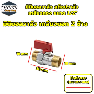 วาล์วอัตโนมัติทองแดง 8 แบบ สำหรับงานประปาและช่าง คุณภาพสูง พร้อมส่ง