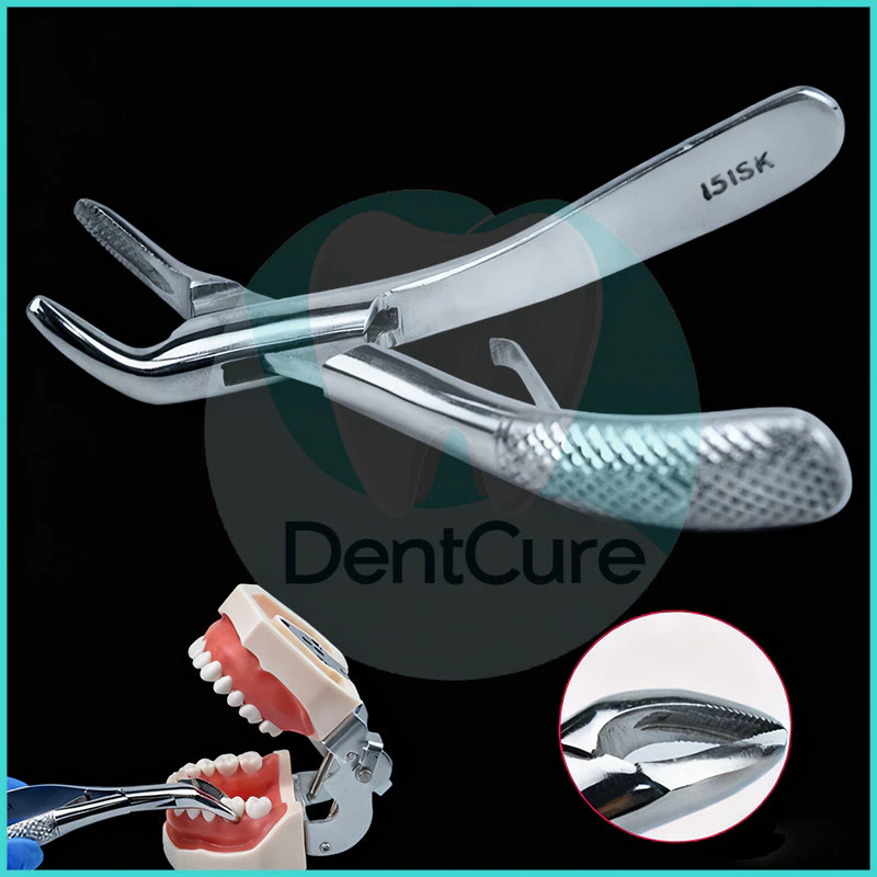 Dental Extraction Forcep ชุดอุปกรณ์คีมถอนฟันเด็ก สแตนเลสคุณภาพสูง สำหรับใช้ในคลินิกทันตกรรม