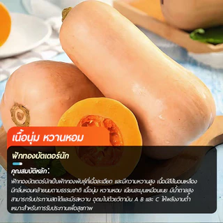 ฟักทองอาร์เจนตินา🎯เมล็ดฟักทองบัตเตอร์นัท 10 เมล็ด🍀ปลูกง่าย📌รสหวาน🧀มัน👍อร่อยมาก☘️ลูกดก