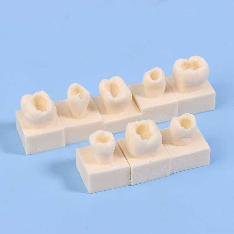 Popular~Oral resin filling practice model with tooth shapes, resin teeth, dental doctor's tooth fill