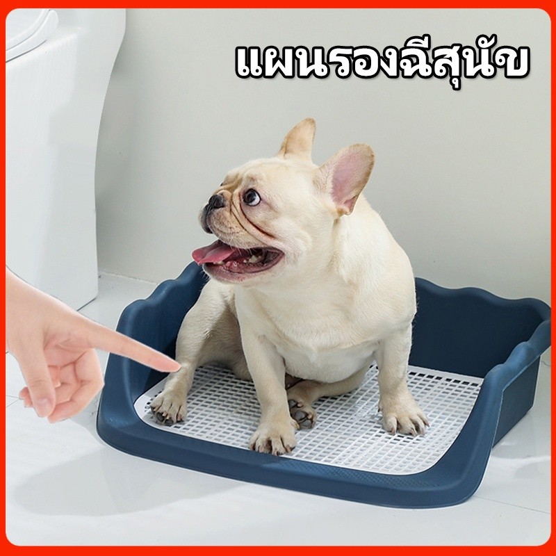 ห้องน้ำสุนัข ถาดรองฉี่สุนัข หรือใช้สำหรับฝึกให้น้องขับถ่ายเป็นที่ ห้องน้ำหมา แบบมีเสา (สามารถถอดเสาออกได้)
