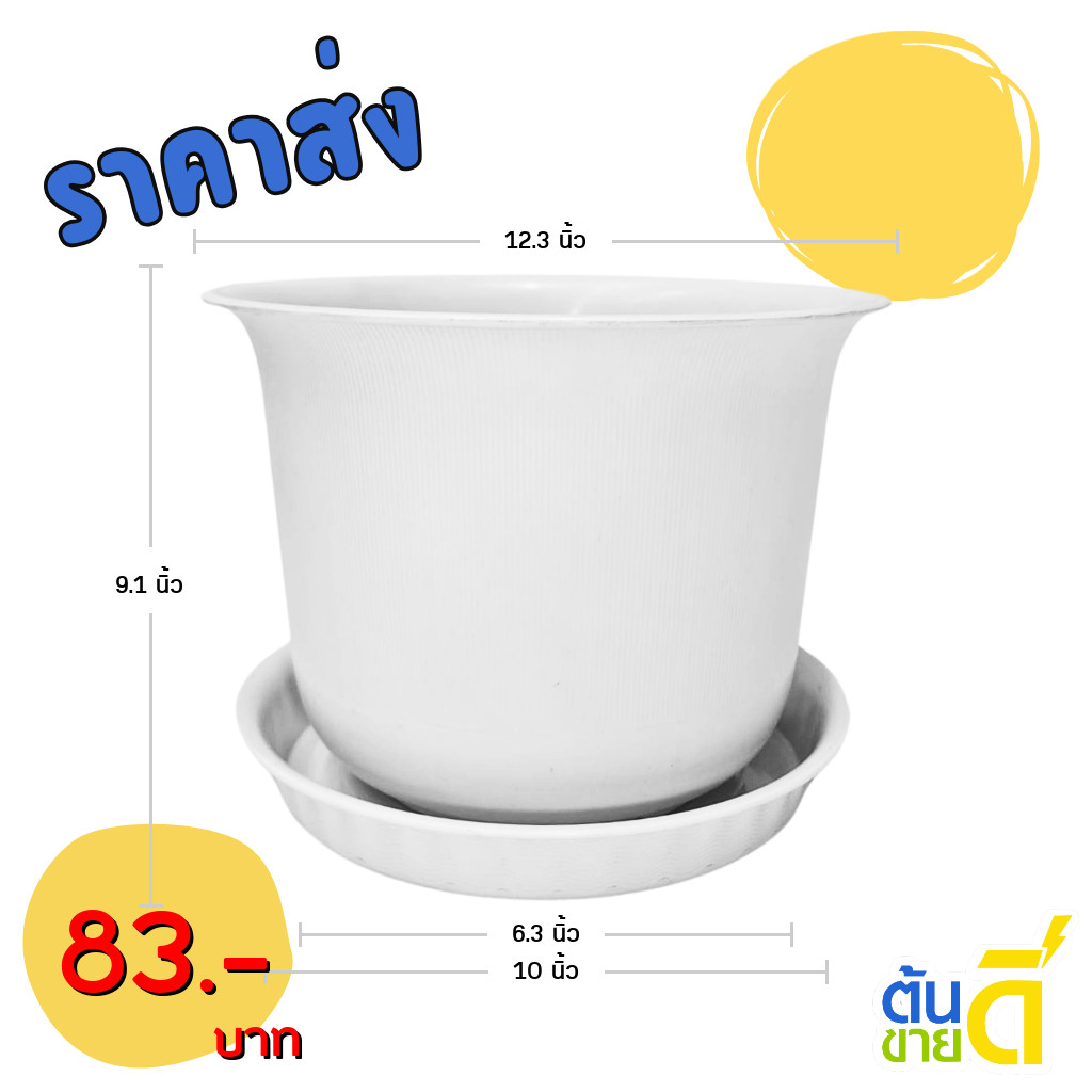 กระถาง กระถางต้นไม้ มินิมอล ถ้วยจีน+จาน ขนาด 12 นิ้ว สีขาว Bundle 5 ใบ ชิ้น อัน
