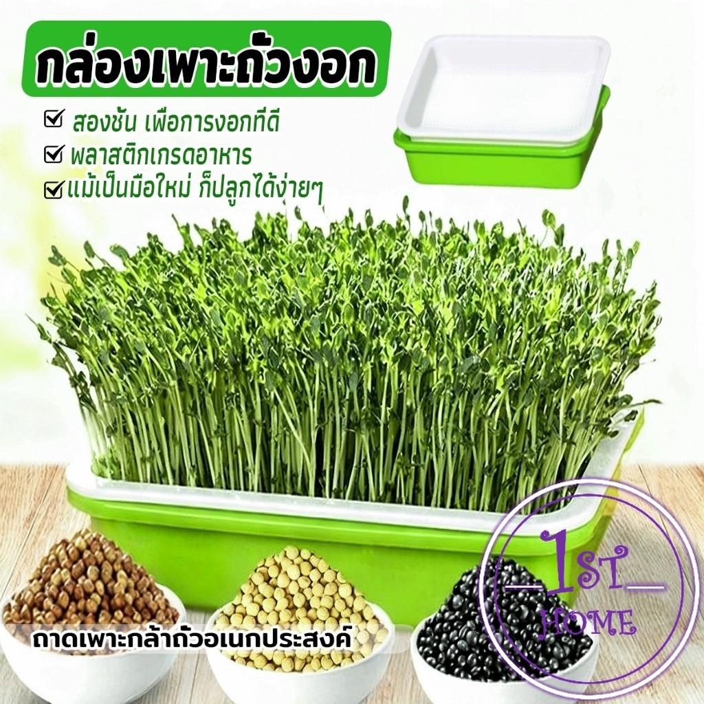 กล่องเพาะถั่วงอก ถาดเพาะต้นอ่อน ไม่ต้องใช้ดิน นำกลับมาใช้ใหม่ได้ สำหรับมือใหม่ 1ชุด bean sprouts tray