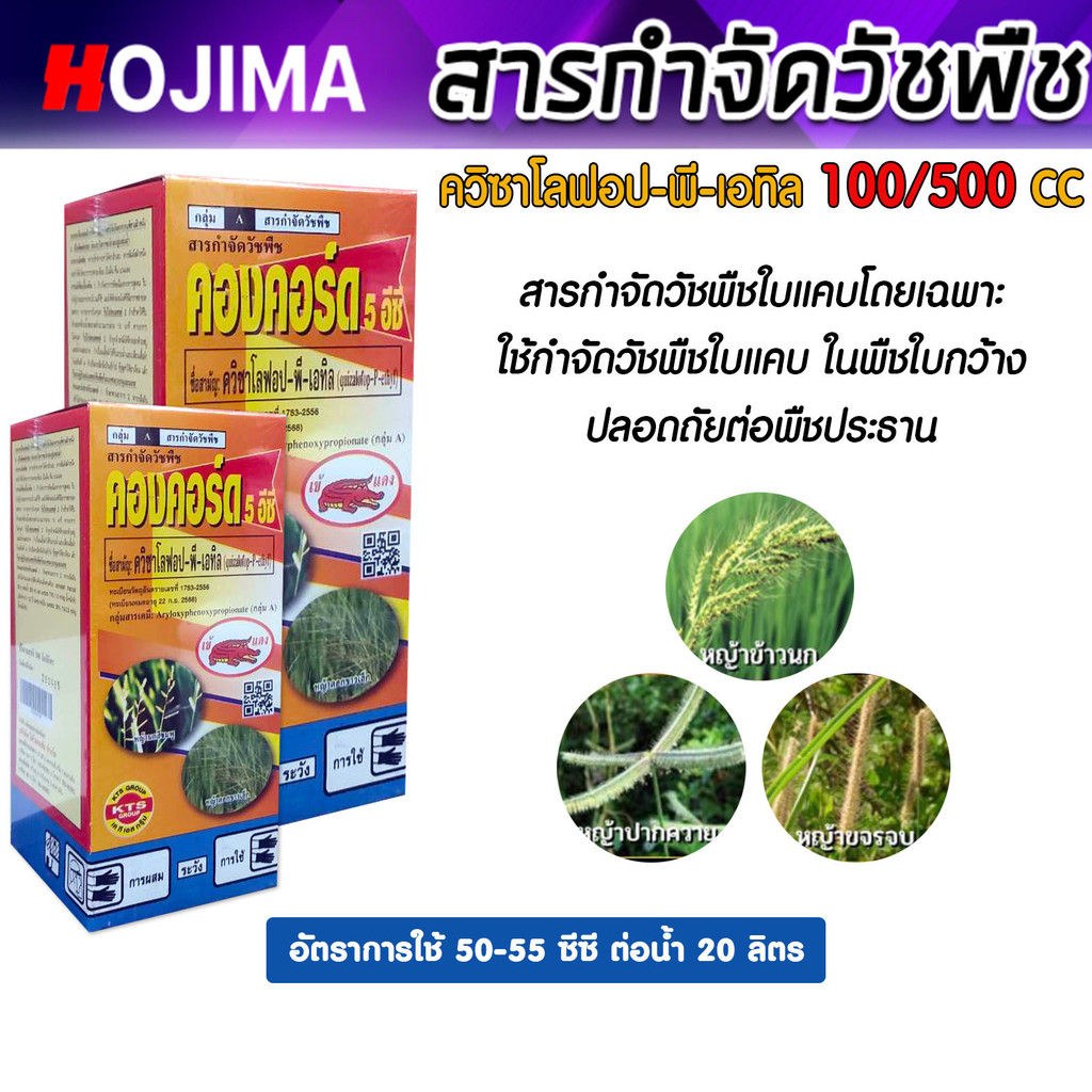 คองคอร์ด 5 อีซี สารควิซาโลฟอป-พี-เอทิล ขนาด 500 และ 1000 ซีซี จัดการวัชพืชใบแคบนาข้าว แบรนด์เข้แดง