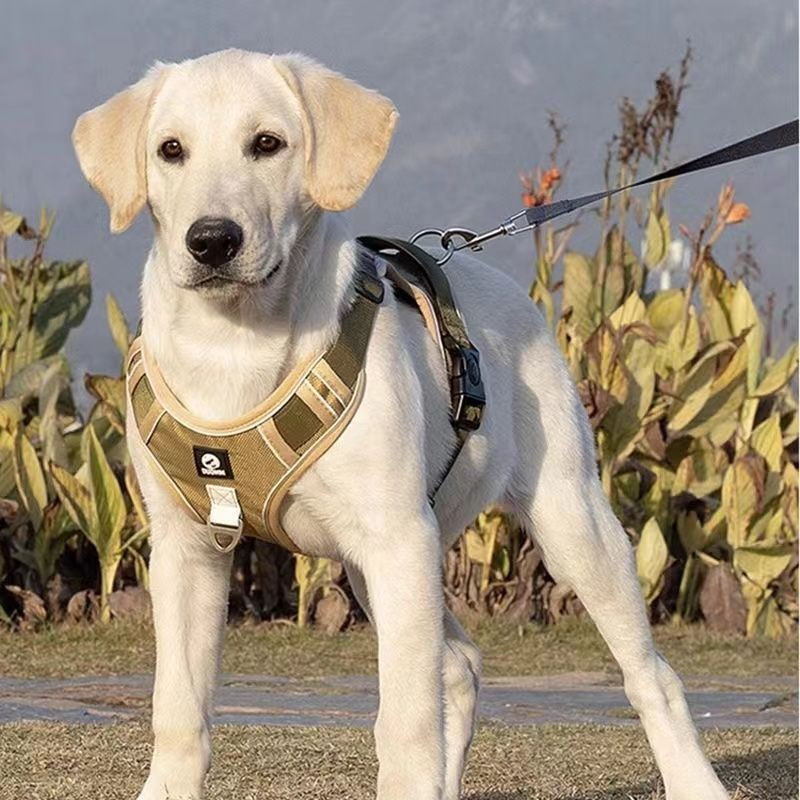 สายจูงสุนัขใหญ่ป้องกันการระเบิด โอกินาว่า สายรัดหน้าอกกลับสะท้อนแสงสุนัขเดินจูงเสื้อกั๊กประเภทขนาดกลางขนาดใหญ่สุนัขสุนัขคอ