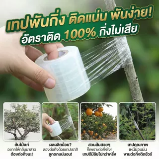 เทปพันกิ่งไม้ PE อย่างดี (เซท 5/10 ม้วน) ยาว 200 เมตร พันง่าย ไม่ต้องผูกปม กันน้ำ กันเชื้อรา เลือกขนาดได้ 3-6 ซม.