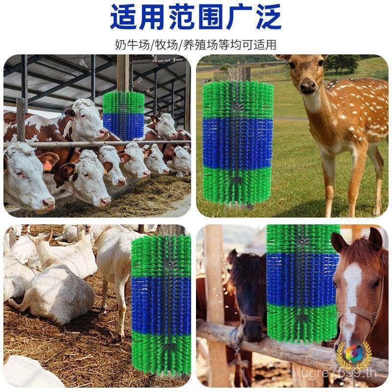 แปรงทําความสะอาดม้าวัวร่างกายแปรงนวดทําความสะอาดร่างกายวัวแปรงขายส่งร่างกายฟาร์มปศุสัตว์สามวัวแปรงผม