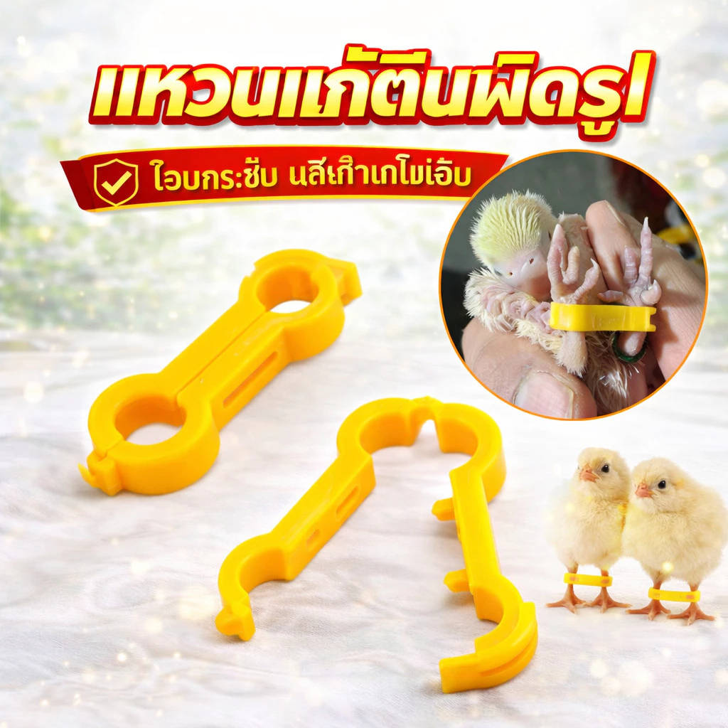 แหวนปรับพฤติกรรมนก การแก้ไขนกแก้ว แหวนฝึกนก ห่วงขานก แก้ขานก แหวนแก้นกกัดขน มีขนาด 4-6mm ให้เลือก