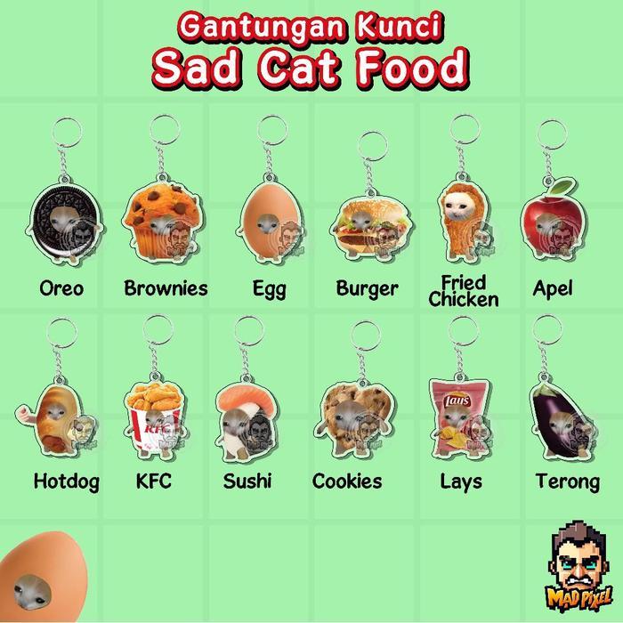 Gantungan Kunci Meme Sad Cat Kucing Akrilk / อะคริลิค KeyChain Lucu Cat Meme - 1 Sisi, Oreo