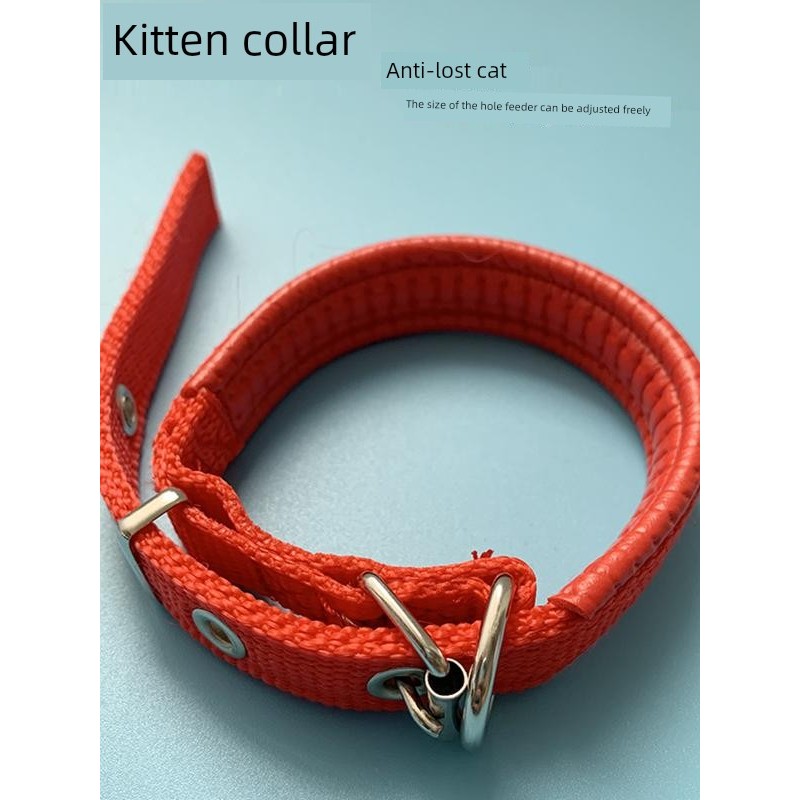 ปอกคอแมว ปลอกคอแมว ทนทานต่อการสึกหรอ Strong Foam Nylon Anti-Strangle Ava