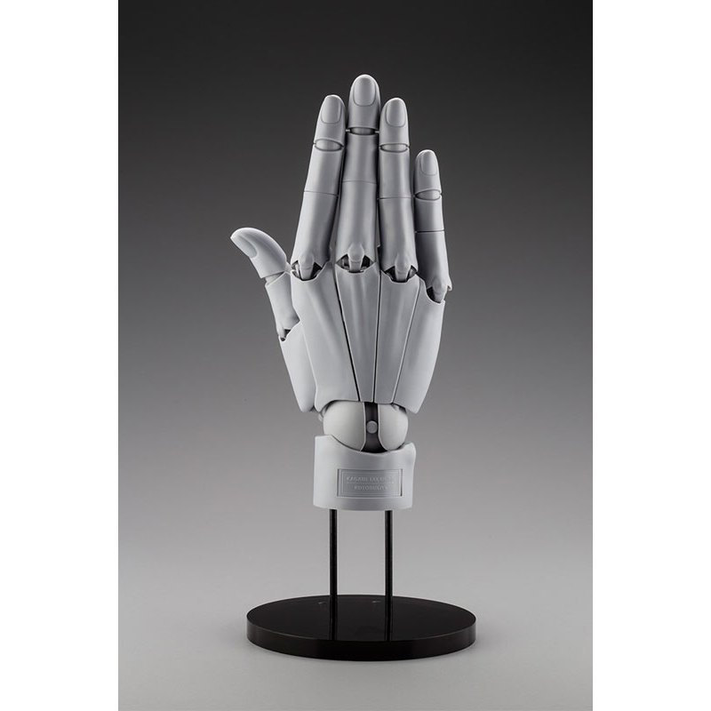 (Value-Packed)ARTIST SUPPORT ITEM Takahiro Kagami Hand Model / R -GRAY- Action Figure Genuine