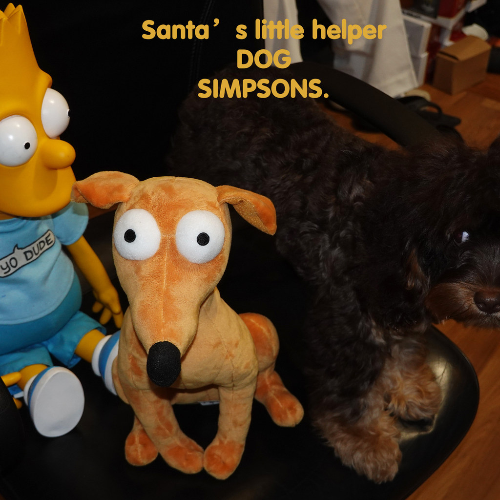 American USJ Arsens Dog Santas-little-helper Doll Santas-helper