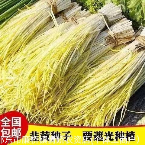 现货韭黄种子宽叶香嫩韭菜籽耐低温弱光农家盆栽四季种植蔬菜种子Leek seed, broad-leafed, fragrant and tender; leek seeds are tolerant 