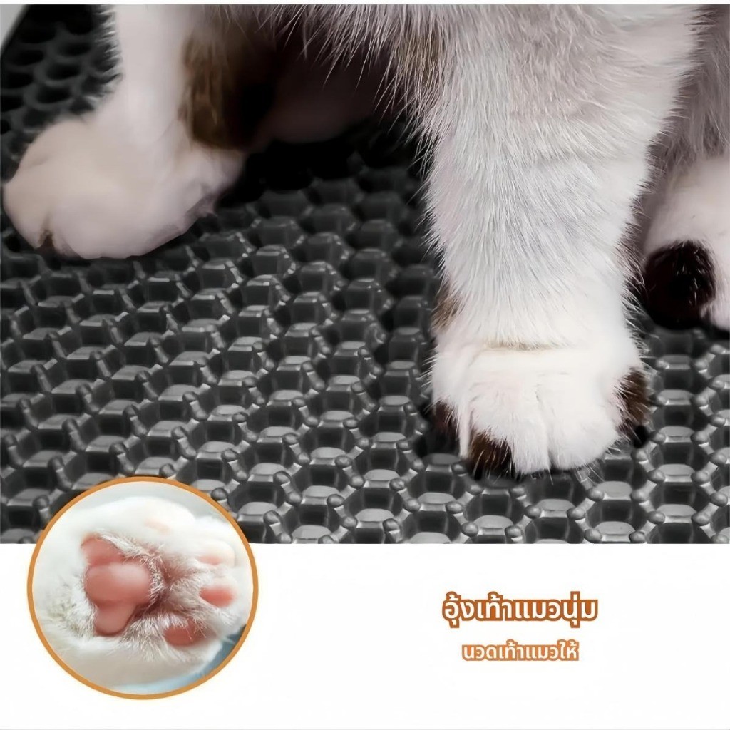 รูปภาพ 7