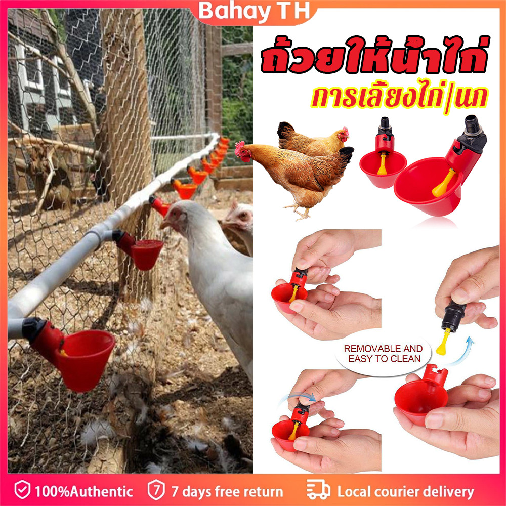 10ชิ้น ที่ให้น้ำไก่อัตโนมัติ PVC ถ้วยรดน้ำ ปลอดภัยติดตั้งง่าย ใช้กับไก่-นกกระทาได้ ระบบอัตโนมัติสะดวกสุดๆ