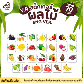 สติ๊กเกอร์ ผลไม้ ไส้ขนม สติ้กเกอร์ รสชาติผลไม้ สไตล์มินิมอล ภาษาอังกฤษ กันน้ำ 2 x 2 ซม. (70 ดวง/แผ่น) สติกเกอร์