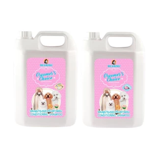 [ยกลัง 4 แกลอน] กรูมเมอร์ช้อยส์ แชมพูผสมครีมนวด BEARING Groomer’s Choice Conditioning Shampoo สำหรับสุนัข 3 เดือนขึ้นไป