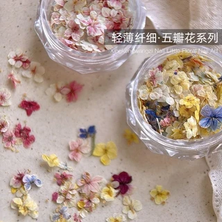 30แต่งเล็บดอกไม้แห้ง Monet Garden ประณีตห้ากลีบ วัสดุตกแต่งเล็บขนาดเล็ก