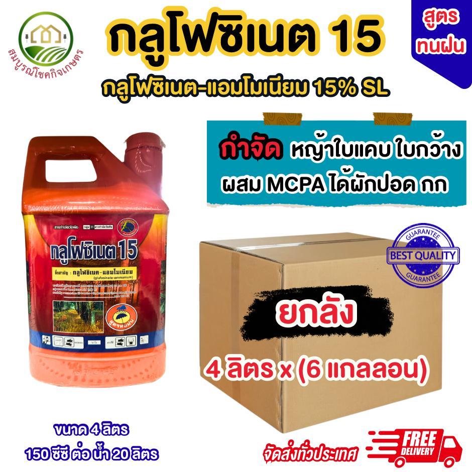 *กดครั้งละ 1 ลัง* (ยกลัง 6 แกลลอน) กลูโฟซิเนต 15 แกลลอนสีส้ม สูตรทนฝน ขนาด 4 ลิตร สารกำจัดวัชพืช ใช้กับหญ้าทุกชนิด