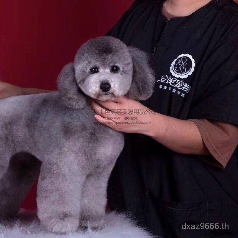 Beautician Anti-Static Pet Shop Pet Cat School เฉพาะสัตว์เลี้ยง Overalls ผ้ากันเปื้อน Overalls สุนัข