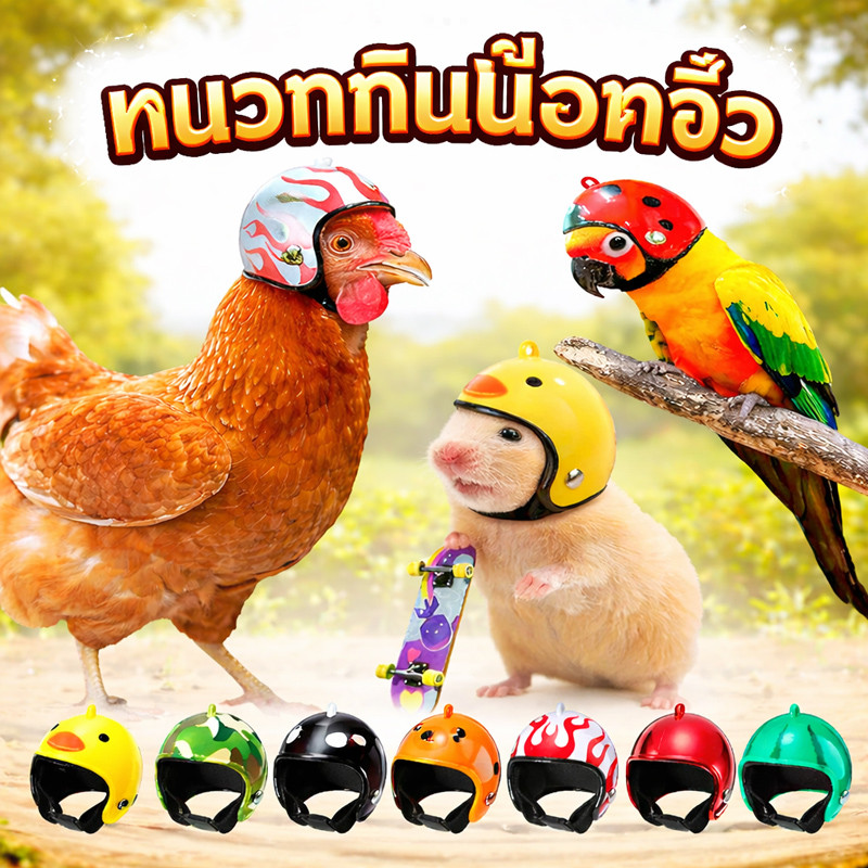 หมวกกันน็อค ขนาดเล็กจิ๋ว หมวกกันน็อคจิ๋ว สำหรับนกแก้ว ไก่ ชูก้า หนู สัตว์เลี้ยงขนาดเล็ก พร้อมส่งจากไทย