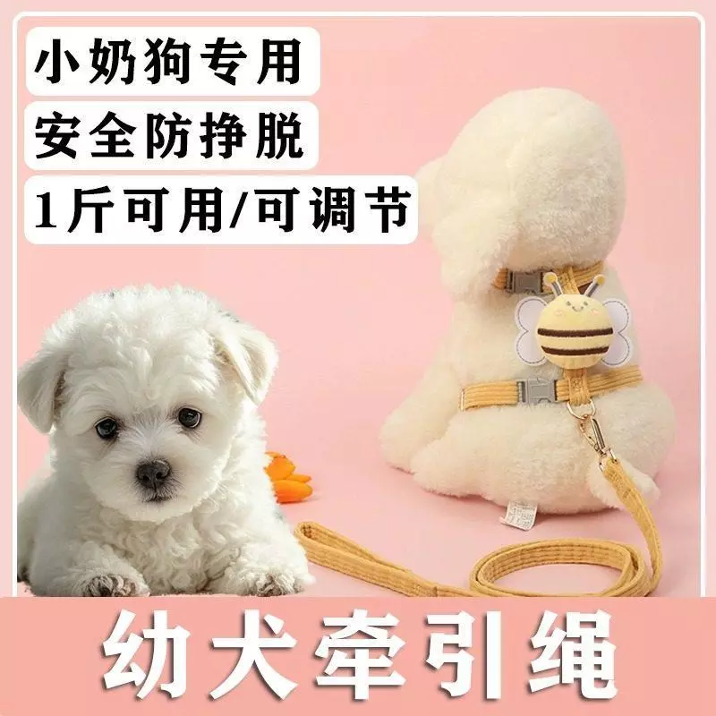สายจูงสุนัขสำหรับสุนัขขนาดเล็ก เท็ดดี้ บิชอน รุ่น 20260414