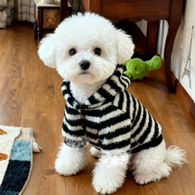 Western Style Dog Dog Clothes Winter Dog Clothes Thick Pet Clothes Cat Cotton-Padded Jacket YY6Y