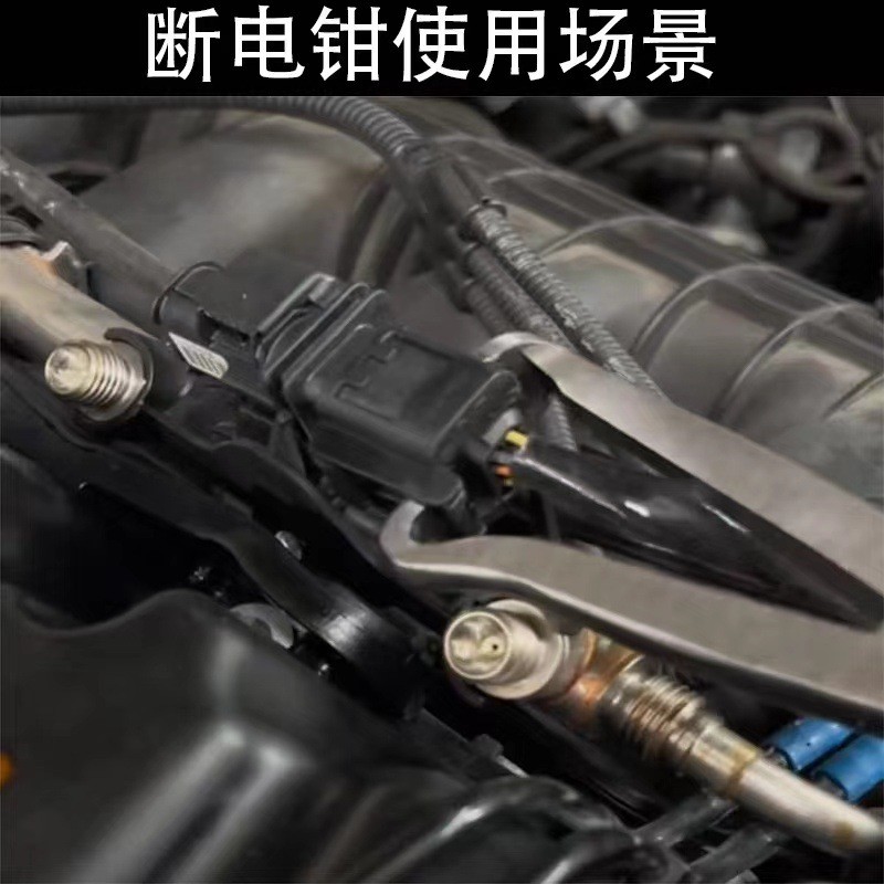 รูปภาพ 9