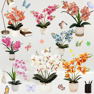 ดอกไม้ประดิษฐ์ ต้นไม้กระถางฟาแลนนอปซิส กระถางต้นไม้ขนาดเล็ก …