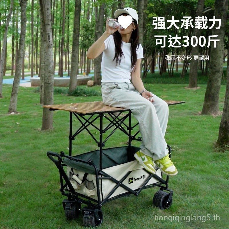 Lift Camping Trolley Camp Trailer Outdoor Folding Camping Trolley Picnic Trolley Stall Trolley One P