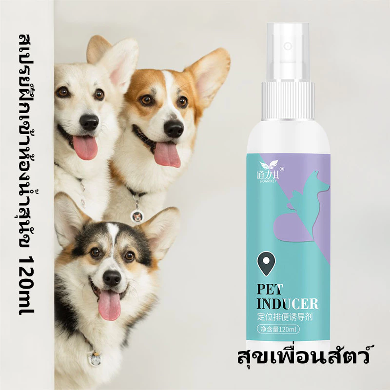 จัดส่งเร็ว สเปรย์ฝึกสุนัขฉี่ 🐶 ช่วยสอนให้น้องหมาขับถ่ายเป็นที่ 💧 ลดปัญหาฉี่ไม่เป็นระเบียบ 🏡 ปลอดภัย ใช้ง่าย 🐾