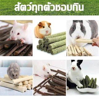 ของเล่นกระต่าย ของเล่นแฮมสเตอร์ ของเล่นลับฟัน ของเล่นกัดแทะ ไม้ลับฟันจากธรรมชาติ ของเล่นแก้สบี้ กระต่าย แกสบี้