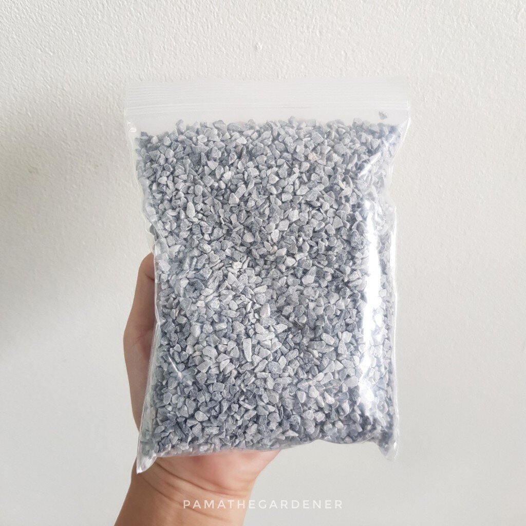 มุมมอง 7