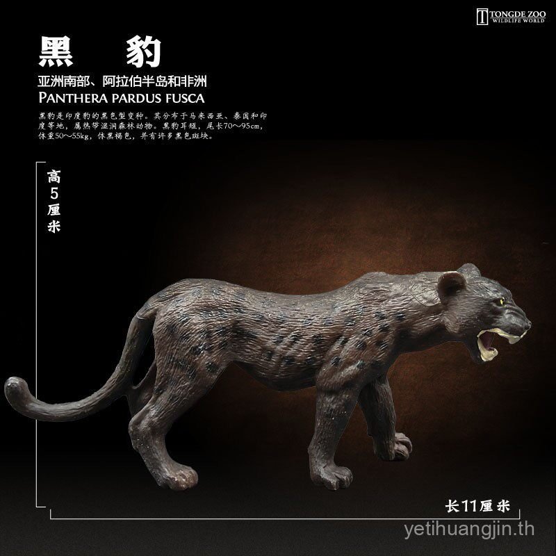 T Tongde จําลอง Panther ของเล่นสัตว์ป่ารุ่น Panther Wild Panther เครื่องประดับเด็กของขวัญ