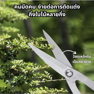 พร้อมส่ง คีมตัดบอนไซ 21cm 29cm คีมปากนกแก้ว คีมท้องเรือ เหล็กคุณภาพสูงเคลือบกันสนิม อุปกรณ์จัดสวนบอนไซ ตัดคม แข็งแรง