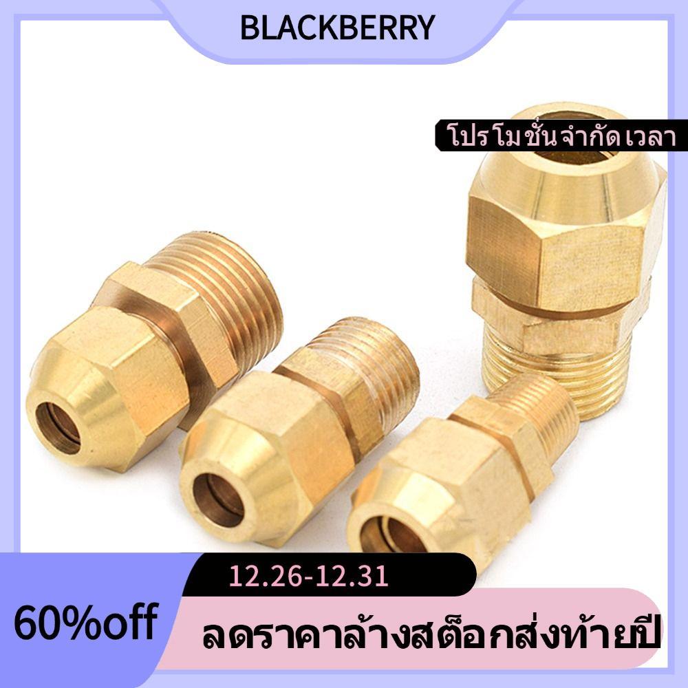 BLACKBERRY ท่อ Barb, F/M ทองเหลืองท่อ Joint, ทนทานชาย/หญิงด้าย 1/8" 1/4 "3/8" 1/2 "OD 6-10mm Coupler