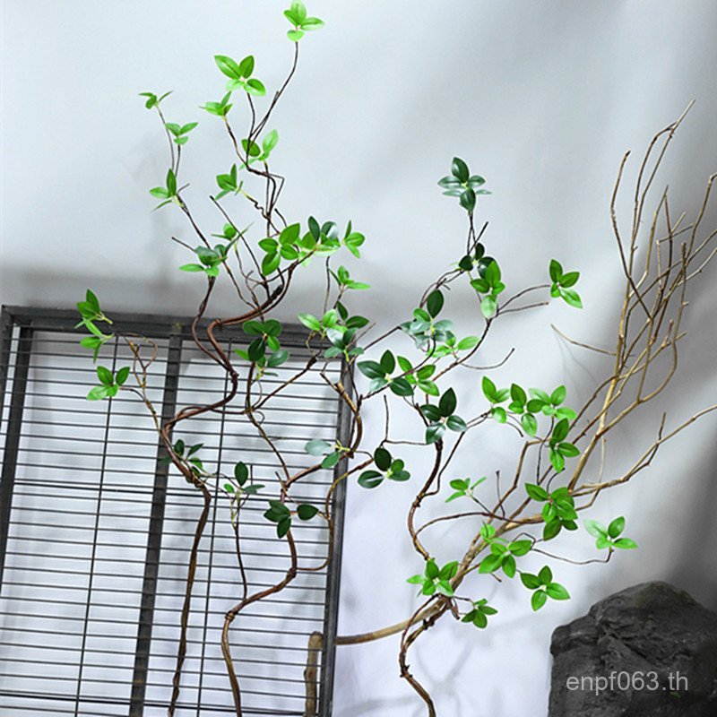 Ficus Ficus ใบภูมิทัศน์สาขา Vines ตกแต่งพืชพืชสีเขียวพลาสติก Dead Tree Vines เพดานจําลองดอกไม้ปลอม V