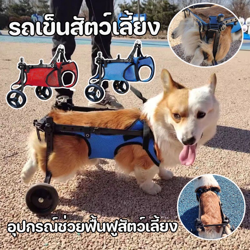 รถเข็นสัตว์เลี้ยง วีลแชร์สุนัข สัตว์เลี้ยงช่วยรถ รถเข็นสำหรับสัตว์พิการ อุปกรณ์ช่วยฟื้นฟูสัตว์เลี้ยง  แบบปรับได้