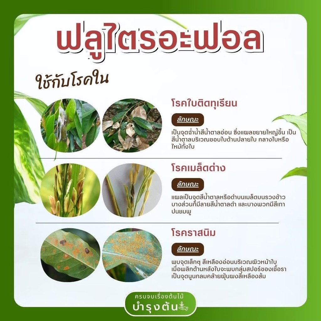 มุมมอง 4