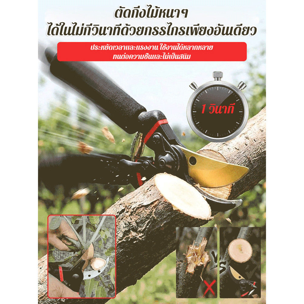 【ประหยัดแรง 2 เท่า】กรรไกรตัดกิ่ง SK5/กรรไกรตัดกิ่งไม้/กรรไกรตัดกิ่งแห้ง/ประหยัดแรง/สำหรับตัดกิ่งแข็ง
