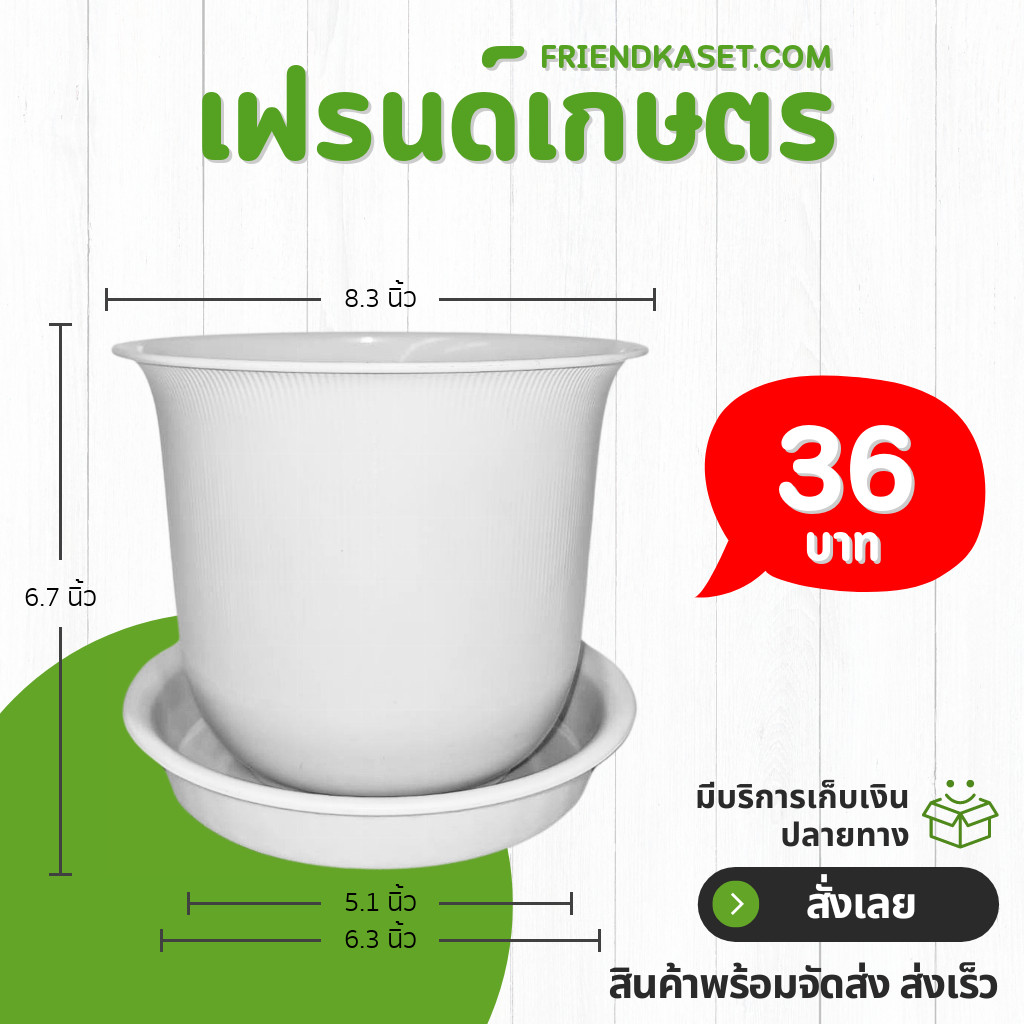 กระถาง กระถางต้นไม้ มินิมอล ถ้วยจีน+จาน ขนาด 8 นิ้ว สีขาว Bundle 5 ใบ ชิ้น อัน